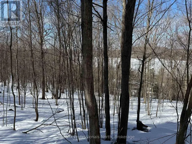 22 WALPOLE STREET W, Huntsville (Chaffey), Ontario P1H1V3