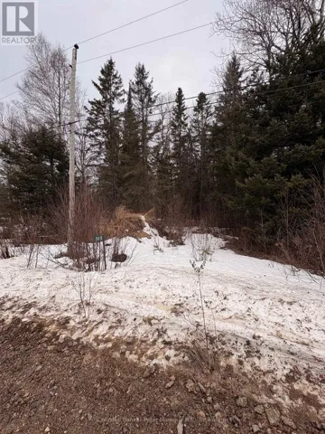508 SWEEZEY STREET, Powassan (Trout Creek), Ontario P0H2L0