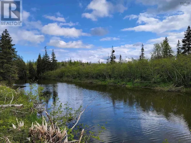 Lot 5 Barren Road, River Denys, Nova Scotia B0E2Y0