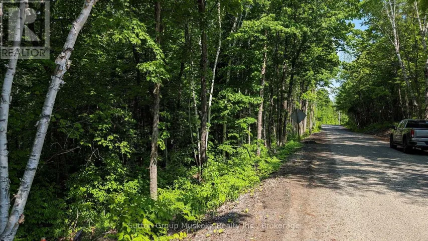 LOT 1 TALLY-HO WINTER PARK ROAD, Lake of Bays (Sinclair), Ontario P1H2E8