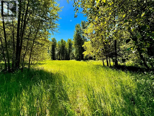 2700 14TH Avenue, Castlegar, British Columbia V1L1Z1