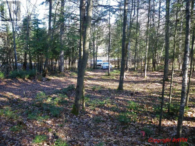 PCL 20438 & 29803 UPPER WALKER LAKE ROAD, Lake of Bays (Sinclair), Ontario P1H2J6