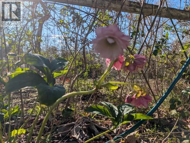 4649 CEDAR STREET, Texada Island, British Columbia V0N1W0