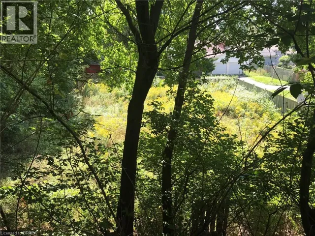 38 BROCK Lane, Brantford, Ontario N3S4Y6