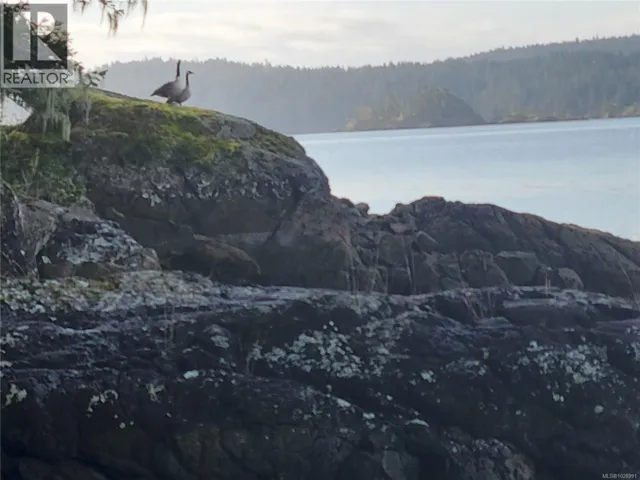 5301 Sooke Rd, Sooke, British Columbia V9Z0E8