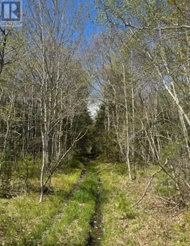 James Street, Brooklyn, Nova Scotia B0J1H0