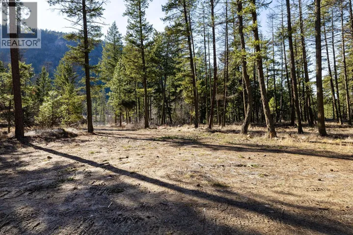 Lot B Trepanier Road, Peachland, British Columbia V0H1X3