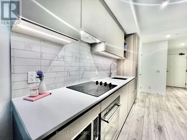 503 - 55 MERCER STREET, Toronto (Waterfront Communities), Ontario M5V3W2