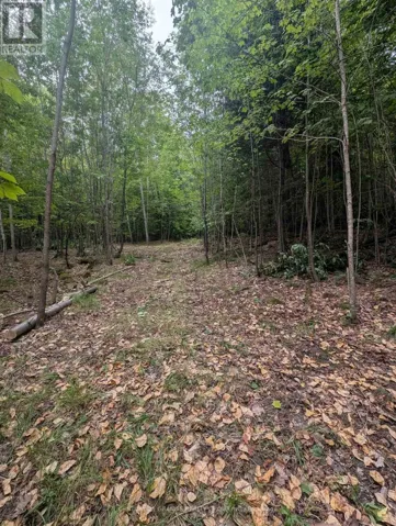 00 KAMANISKEG LAKE ROAD, Hastings Highlands (Bangor Ward), Ontario K0J1L0