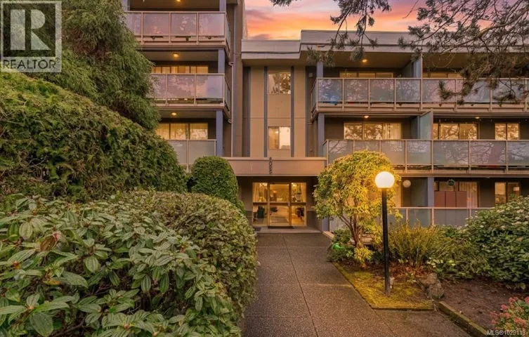 313 1025 Inverness Rd, Saanich, British Columbia V8X2S2