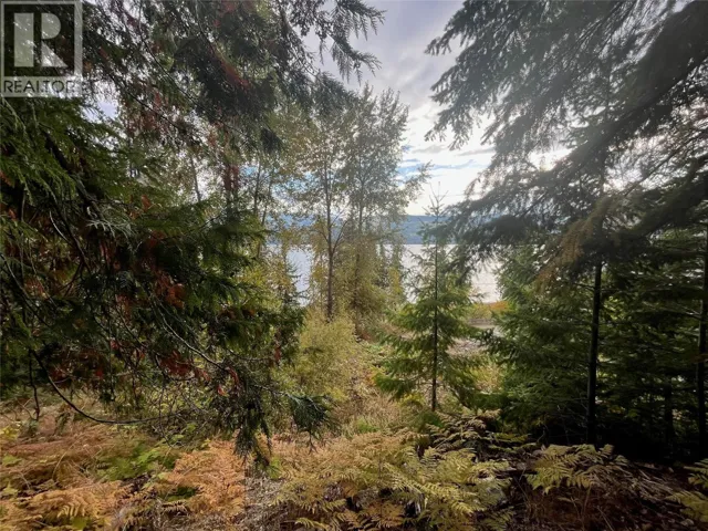 Squilax Anglemont Road Lot# 4, Anglemont, British Columbia V0E1M8