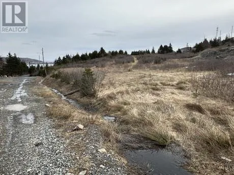 7A Cotters Street, Carbonear, Newfoundland & Labrador A1Y1A7