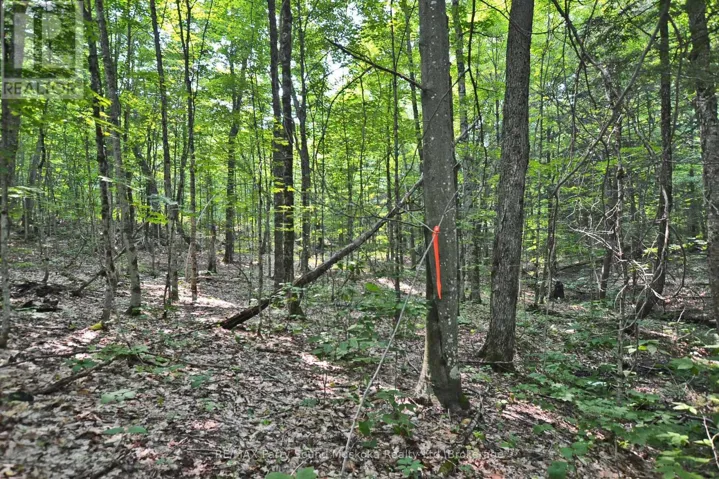 PART 2 - 0 LYNDSEY LANE, McKellar, Ontario P2A0B5