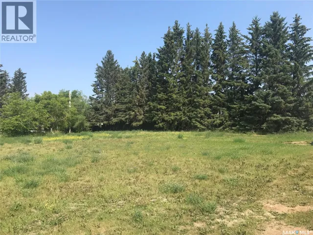 214 Gordon AVENUE, Orkney Rm No. 244, Saskatchewan S3N2W1