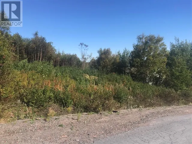 12 Random View Road, Milton-Georges Brook, Newfoundland & Labrador A5A0L3