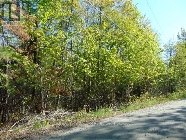 LOT 11 PLAN 580 NORTH DRIVE, Dysart et al (Guilford), Ontario K0M1S0