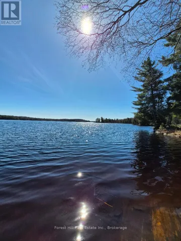 247 WOODLAND DRIVE, McMurrich/Monteith (McMurrich), Ontario P0A1Y0