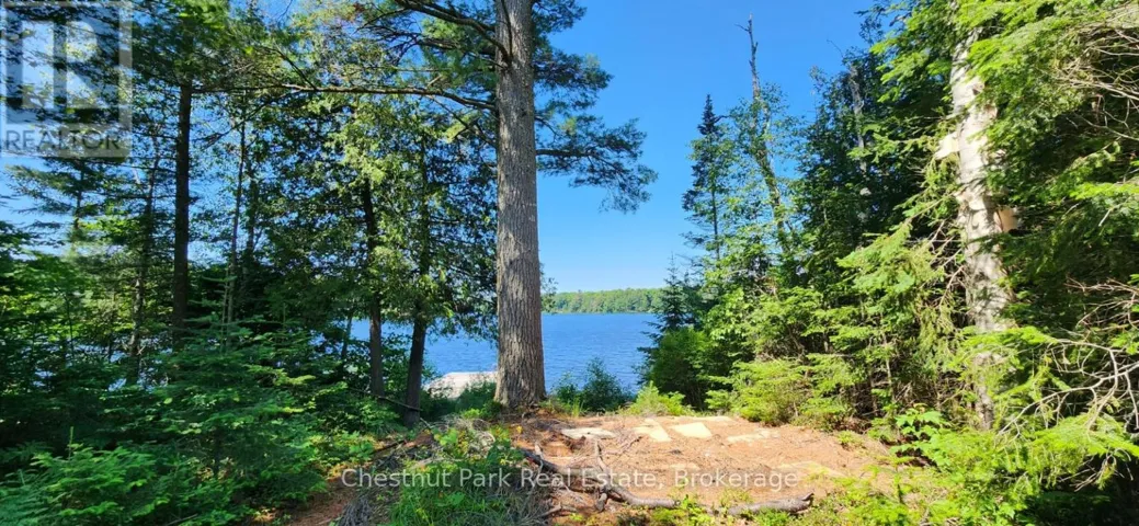 730 ECHO RIDGE ROAD, Kearney, Ontario P0A1M0