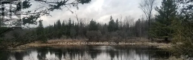 229 NORRIS ROAD, Tay Valley, Ontario K7H3C6