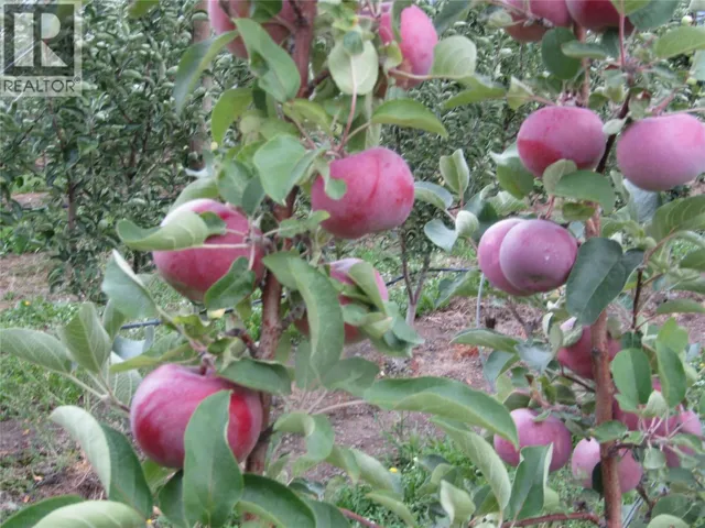 2705 75th Avenue, Grand Forks, British Columbia V0H1H2