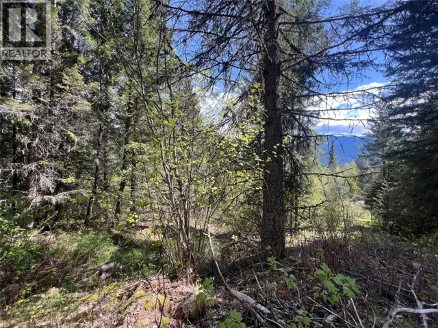 Lot 2 LOIS Lane, Winlaw, British Columbia V0G2J0