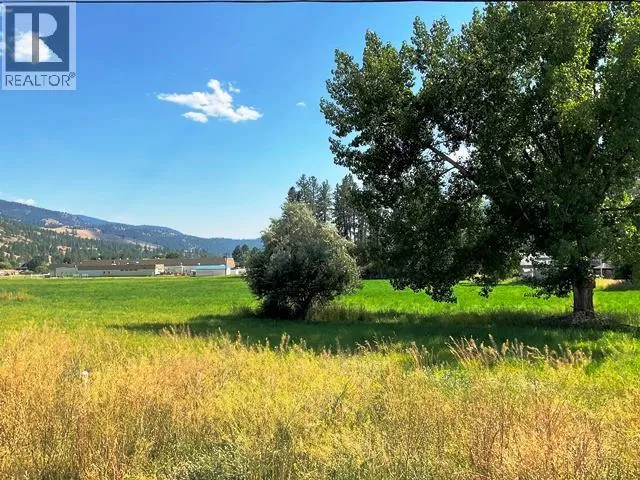 420 Ninth Avenue, Midway, British Columbia V0H1M0