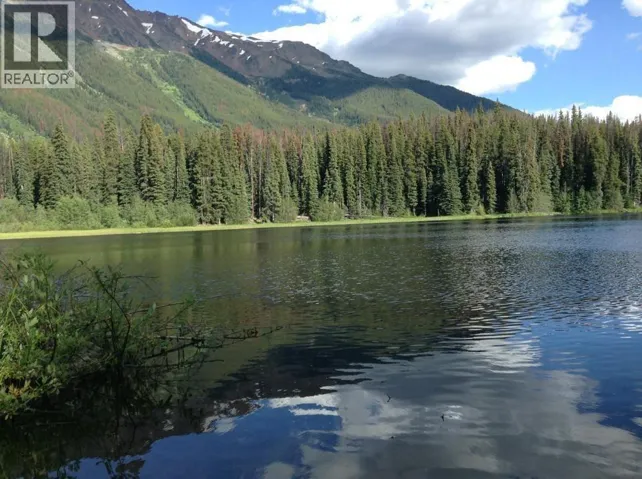 DL 5374 Mead Lake, Bralorne, British Columbia V0K1P0