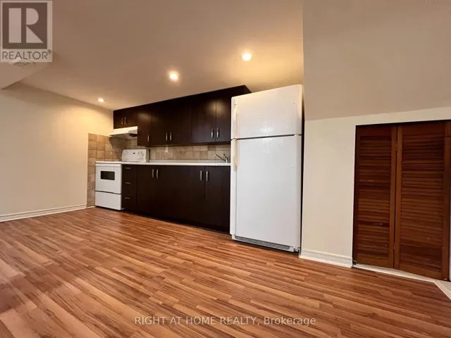 LOWER - 195 TAYLOR MILLS DRIVE N, Richmond Hill (Crosby), Ontario L4C2T5