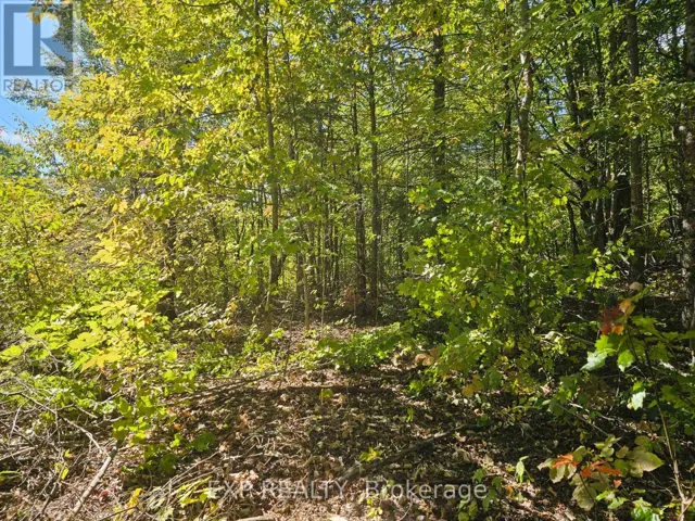 PART LOT 32 AND 33 PART 2 CONC 1 CONCESSION, Minden Hills (Snowdon), Ontario K0M1X0