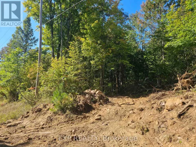 PART LOT 32 AND 33 PART 2 CONC 1 CONCESSION, Minden Hills (Snowdon), Ontario K0M1X0