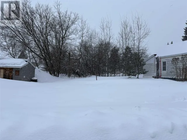 599 Lennox AVE, Sault Ste. Marie, Ontario P6C3P7