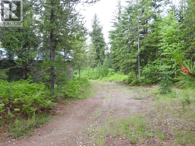 9700 Hwy 6, Edgewood, British Columbia V0G1J0