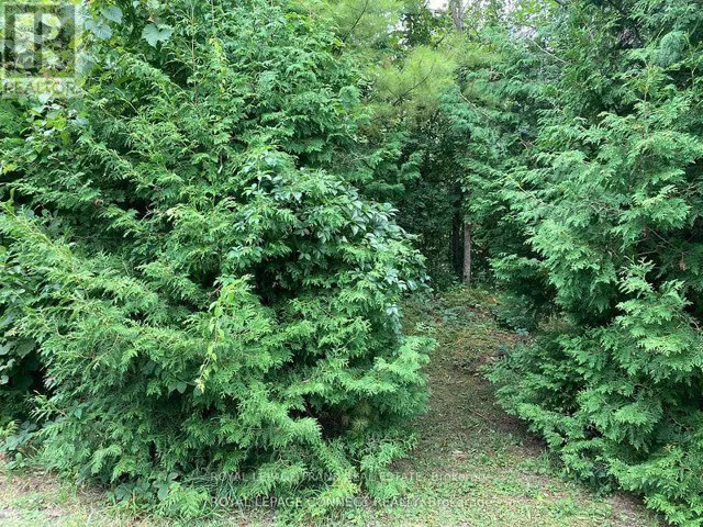 0 PINECREST ROAD, Georgina (Pefferlaw), Ontario L0E1N0