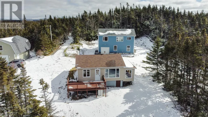 58 Pioneer Line, Salmonier, Newfoundland & Labrador A0A2R0