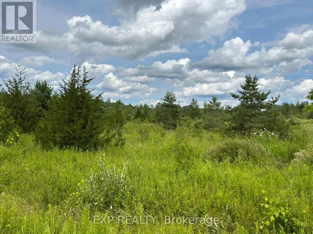 1155 WOOD ROAD, Tay, Ontario L0K2E0