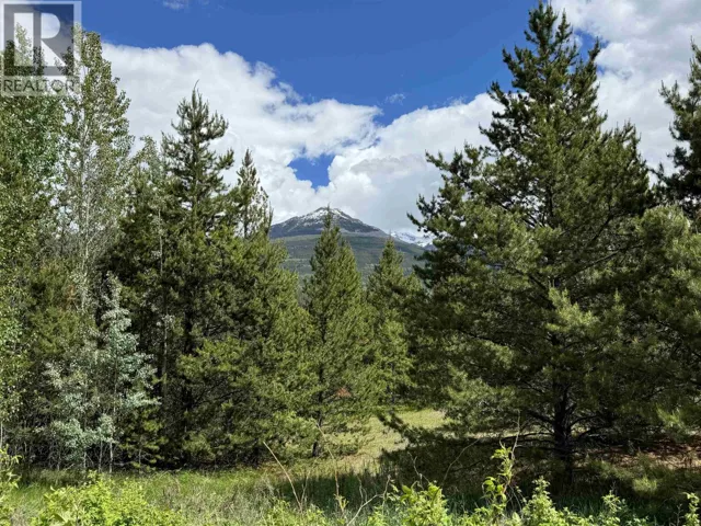 LOT 2 STARVIEW ROAD, Valemount, British Columbia V0E2Z0
