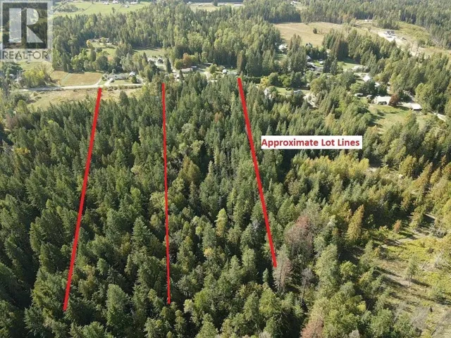 431 ALEXANDER Road, Nakusp, British Columbia V0G1R1