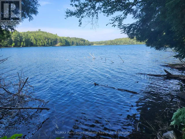 368 SIMMONS LAKE ROAD, Magnetawan, Ontario P0A1P0