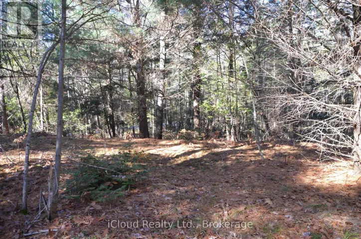 3 PARKER BAY ROAD, Whitestone, Ontario P0G1G0