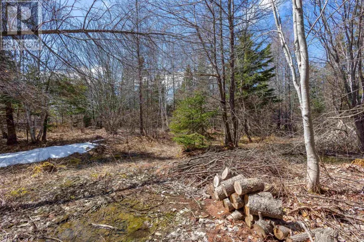 Lot 1 327 Gabarus Highway, Caribou Marsh, Nova Scotia B1M1C9