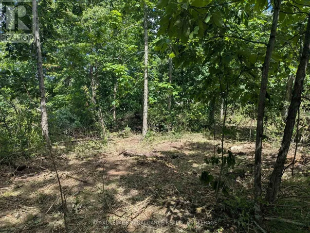 2621 4TH CONCESSION ROAD, Kingston (City North of 401), Ontario K0H1Y0