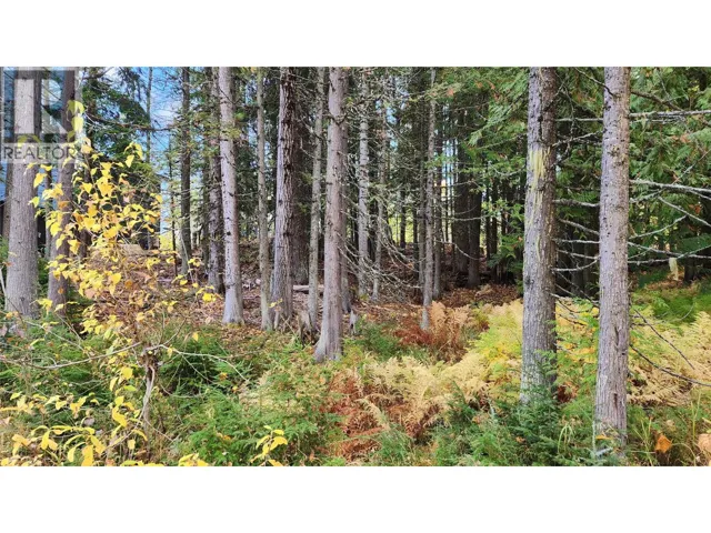210 CEDAR CREEK Place, Rossland, British Columbia V0G1Y0