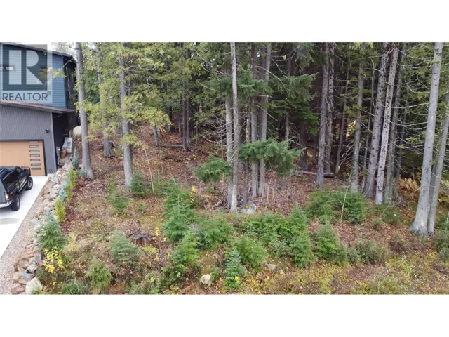 206 CEDAR CREEK Place, Rossland, British Columbia V0G1Y0