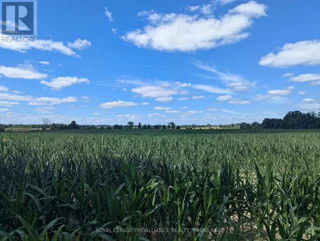 2622 4TH CONCESSION ROAD, Kingston (City North of 401), Ontario K0H1Y0