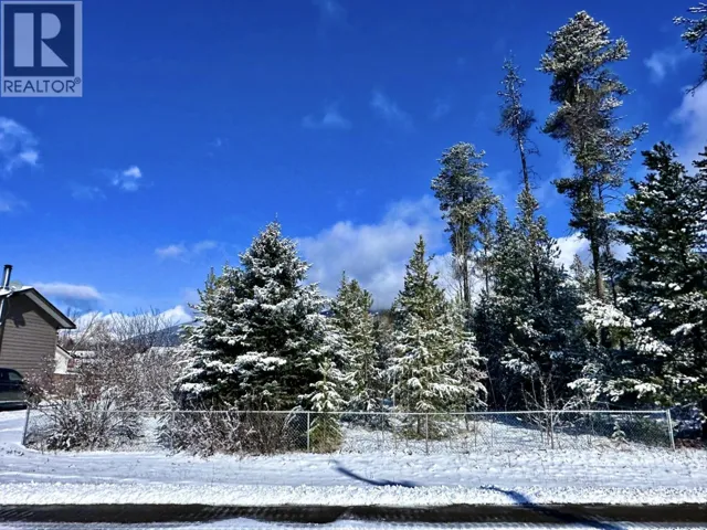 1044 9TH AVENUE, Valemount, British Columbia V0E2Z0