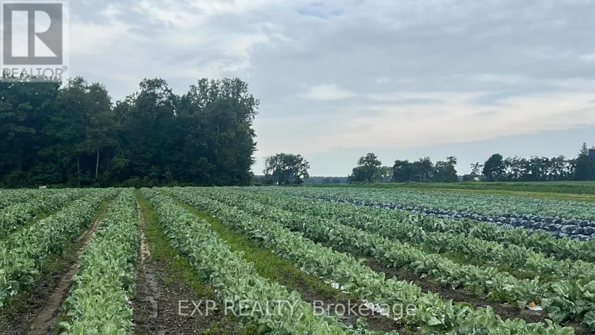11 TUCKER STREET, Southwest Middlesex, Ontario N0L1Z0