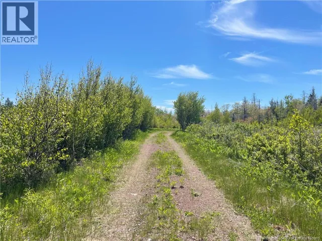 Lot 95-5 P'tit Barachois Road, Grand-Barachois, New Brunswick E4P7Y3