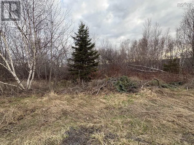 Lot - Oak Street, Trenton, Nova Scotia B0K1X0