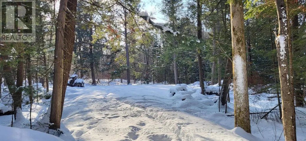 97 MAPLE ROAD, Chisholm, Ontario P0H1Z0