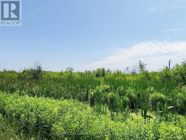 20200 HIGHWAY 48, East Gwillimbury, Ontario L0G1M0